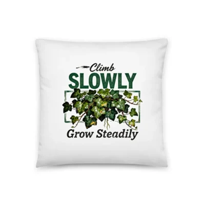 Climb Slowly Grow Steadily Pillow – Motivational Decor Cushion